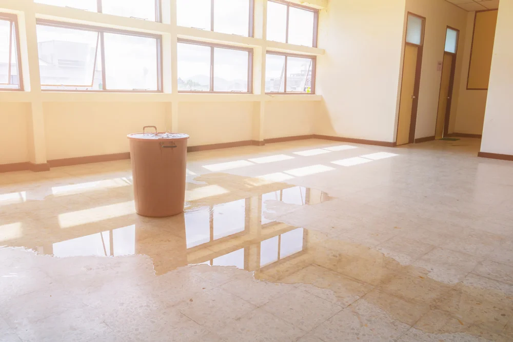 pro water damage restoration company