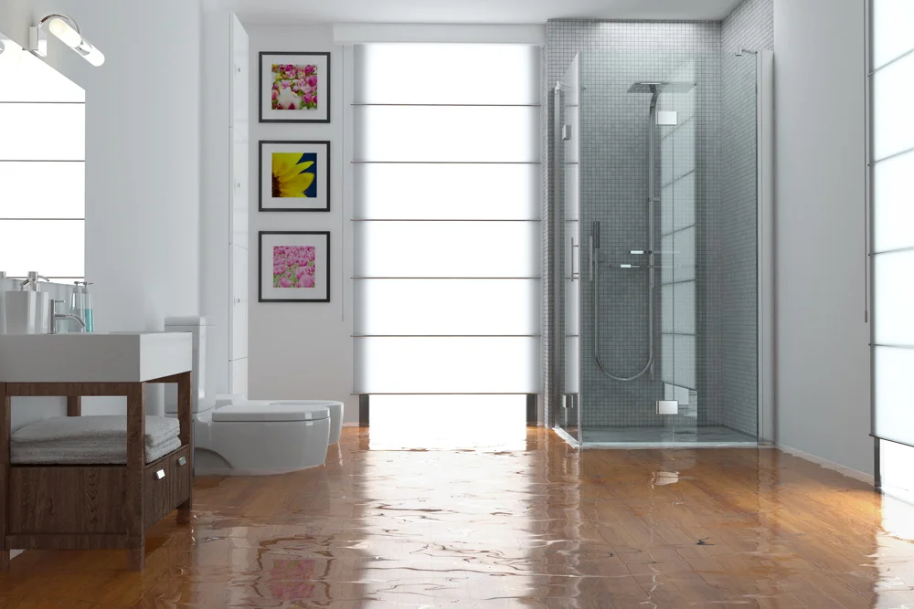 professional water damager restoration company