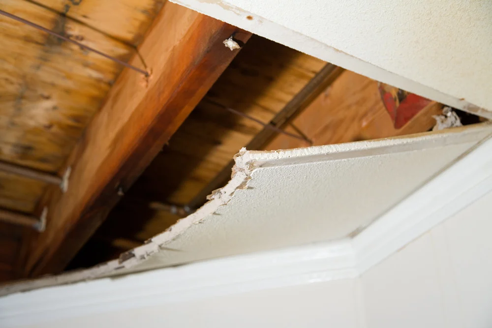 water damage repair complete restoration